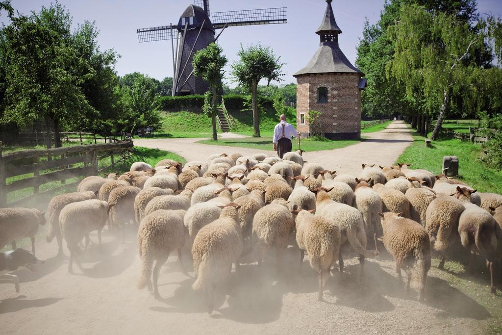 فندق بيرفي  Center Parcs Erperheide المظهر الخارجي الصورة